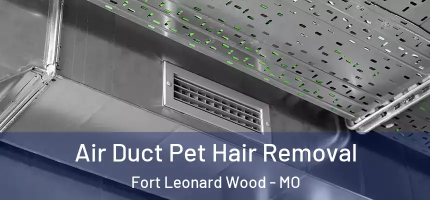  Air Duct Pet Hair Removal Fort Leonard Wood - MO