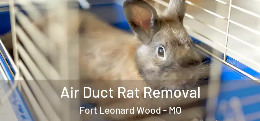  Air Duct Rat Removal Fort Leonard Wood - MO