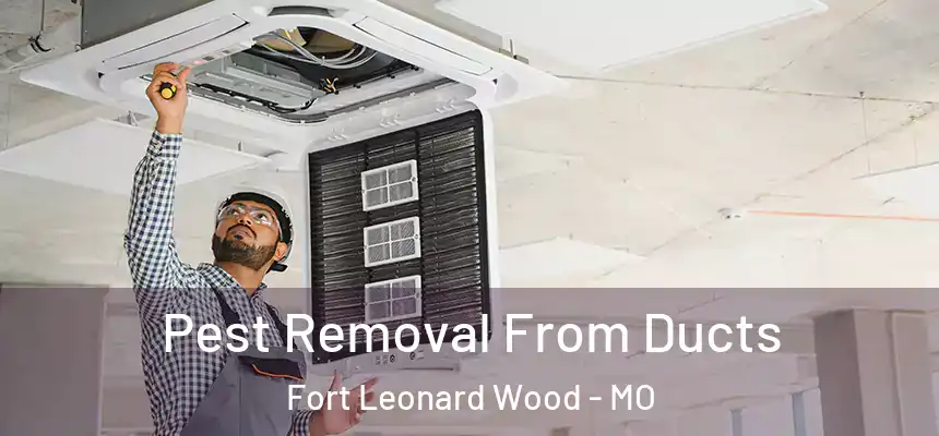  Pest Removal From Ducts Fort Leonard Wood - MO