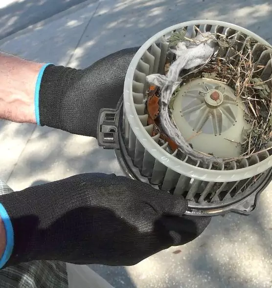 About Air Duct Mice Removal in Fort Leonard Wood, MO