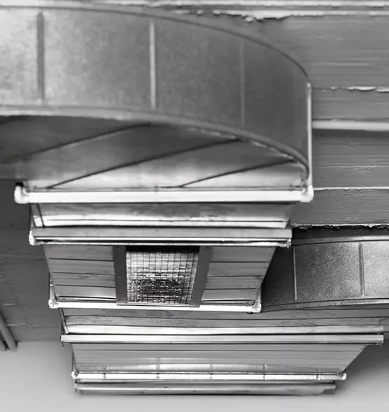 Professional Air Duct Pest Removal in Fort Leonard Wood, MO