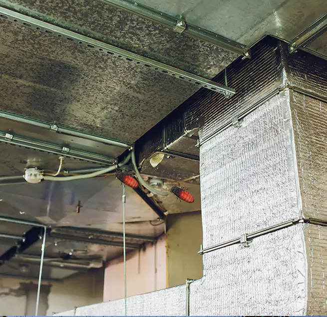 Why Homeowners & Businesses Trust Us in Fort Leonard Wood, MO?